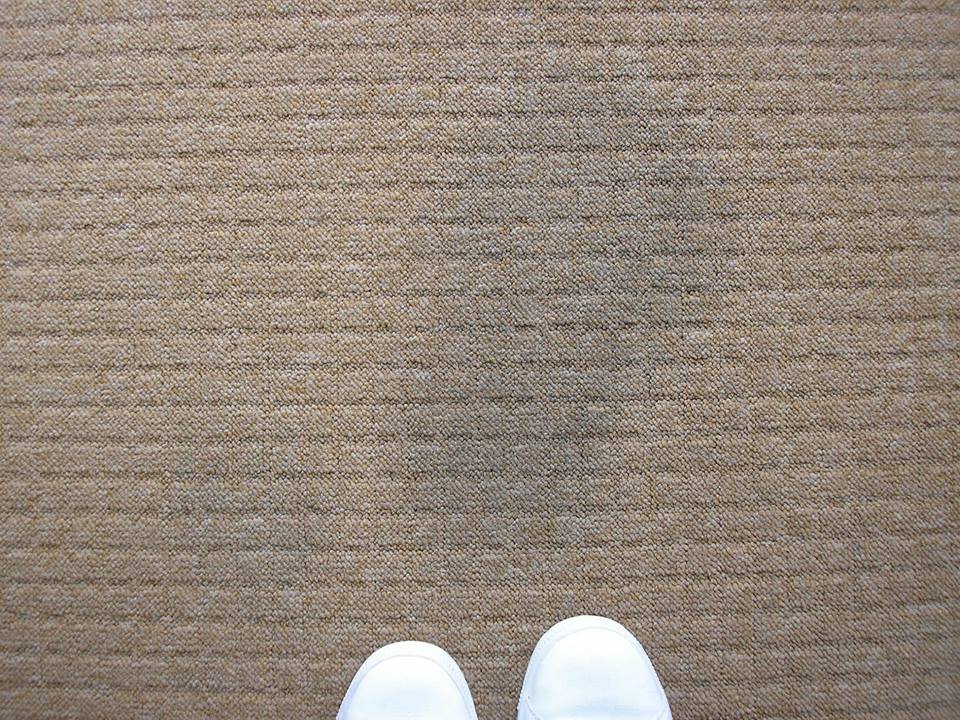 10006930_718874328155548_1234933556_n